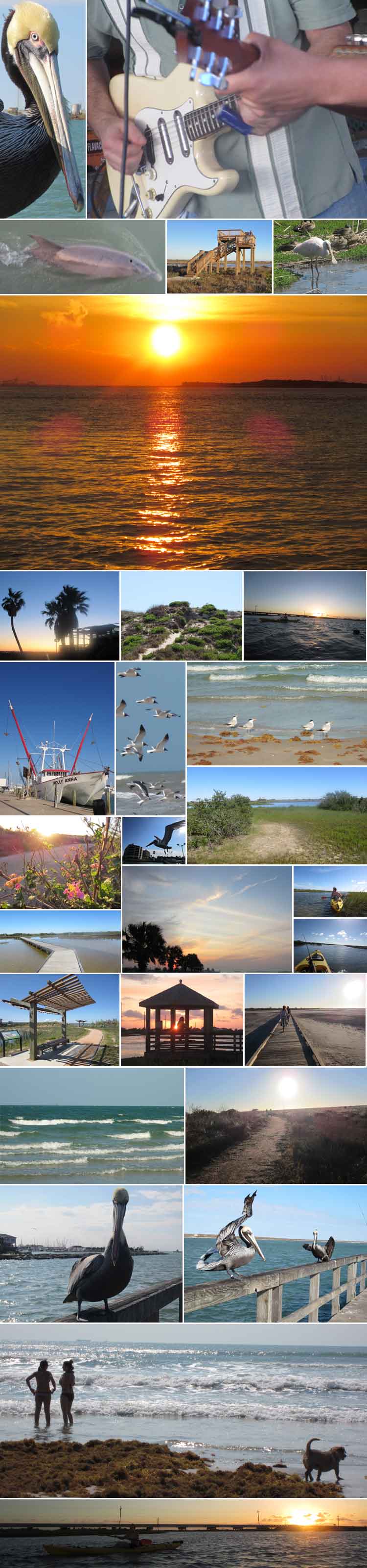 Coastal Bend Attractions - Vacation Rentals in Corpus Christi, Port Aransas, Rockport, Portland, Aransas Pass and more.